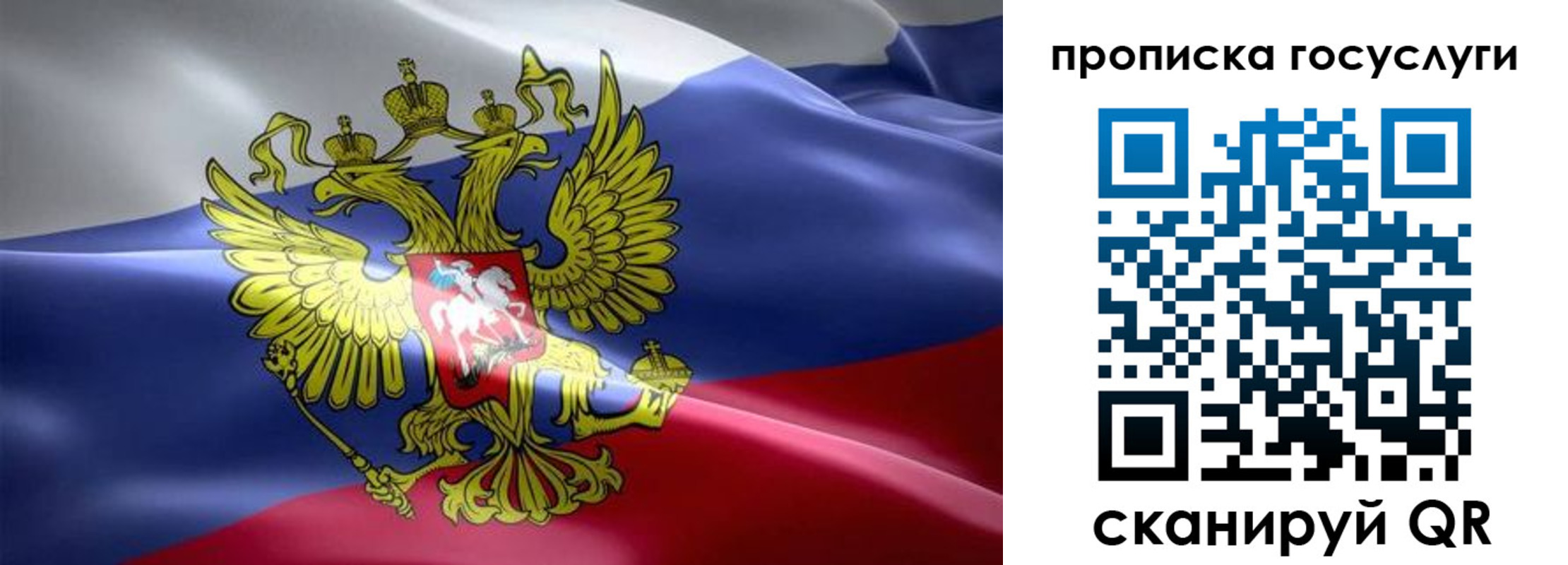 прописка законно в Рошале