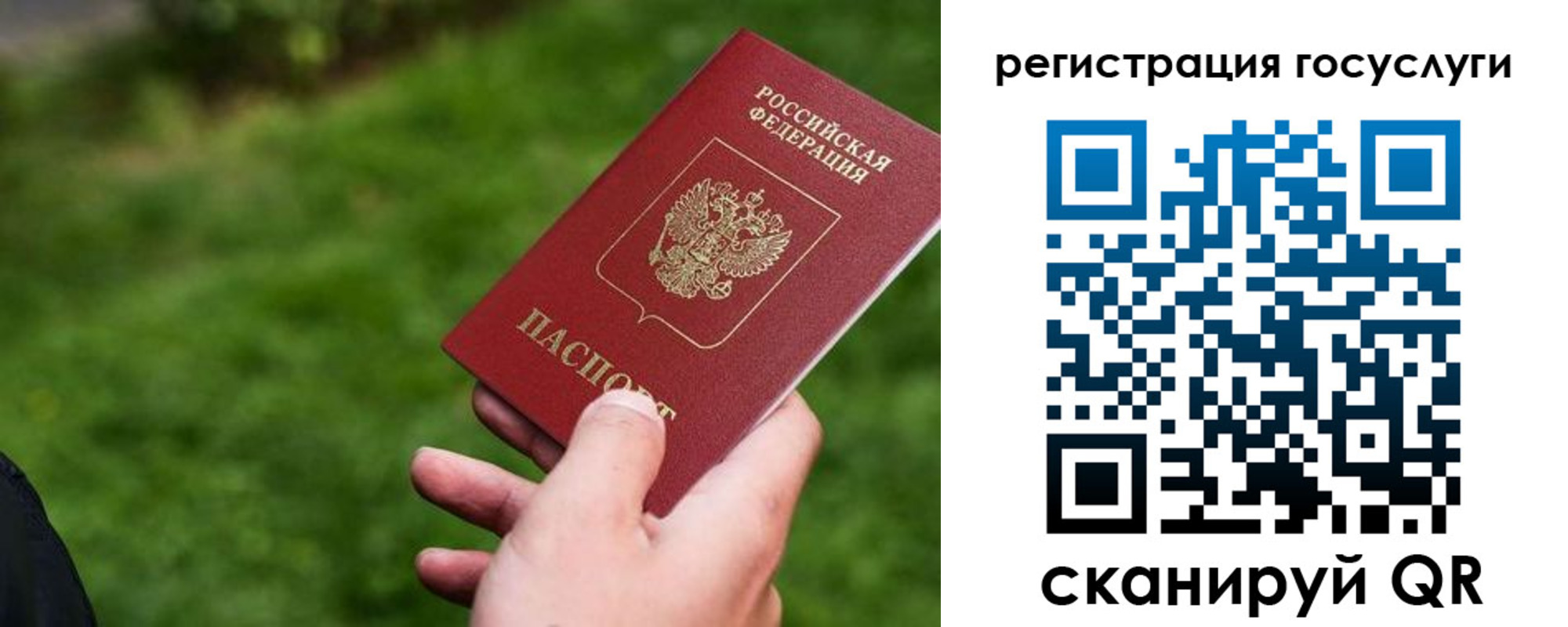 временная регистрация в Рошале